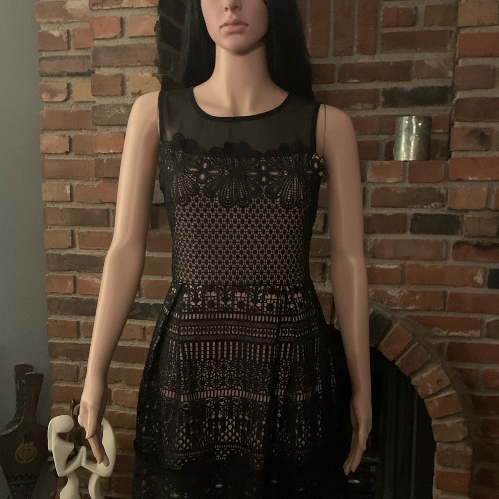 Black lace Knee Length Dress.